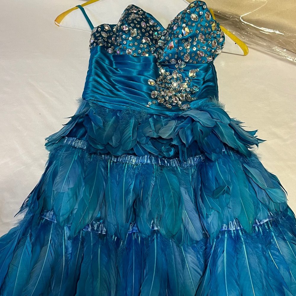 Feather Dress
